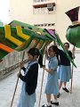 IMG_3934