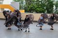 IMG_4883